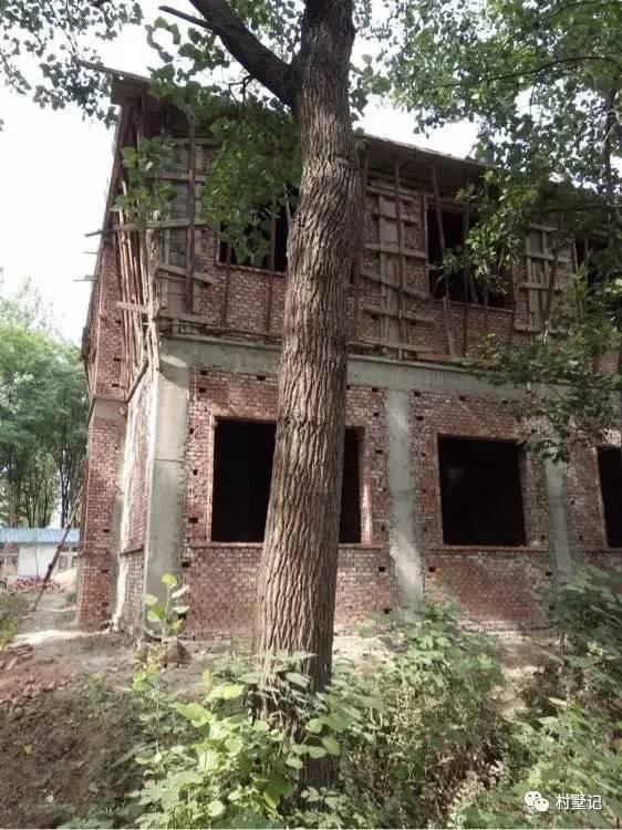 安徽網友為父母自建二層復式農村別墅，美得不敢看