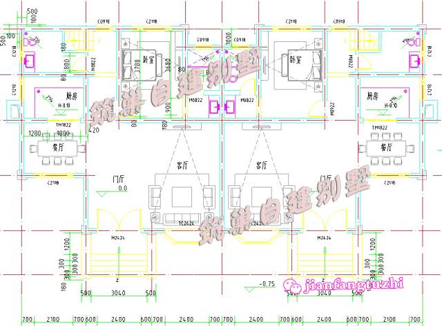 二層農村兄弟雙拼房別墅設計圖效果圖，總面積450平方米22x11米，對稱設計彰顯房屋的氣勢