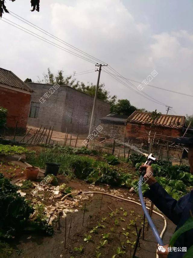 曬家丨回鄉蓋別墅，80歲母親全程監工，60萬建成引來全鄉觀摩！