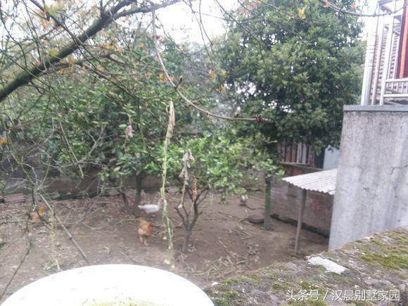 自建三層別墅，附平面設(shè)計圖，造價30萬左右，12X9.3米有露臺和院子