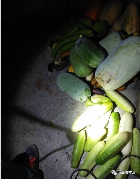 農村小伙自建一層小別墅過程全直播，自建房的可以看看哦