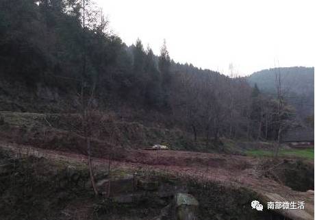 農村小伙自建一層小別墅過程全直播，自建房的可以看看哦