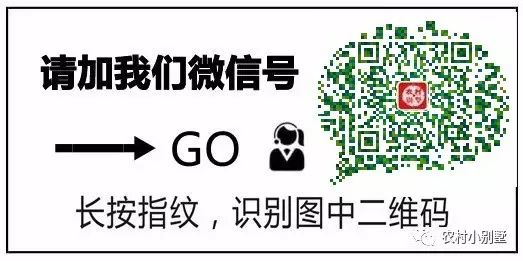 15.6x9.5米帶獨(dú)立車(chē)庫(kù)農(nóng)村三層小洋樓設(shè)計(jì)圖，推薦爆款