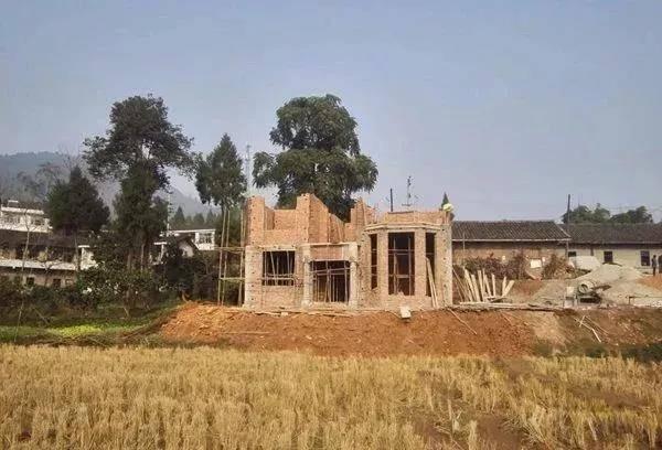 如此美觀的二層別墅設計圖，不建一棟是在太可惜了