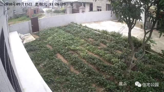 在國外定居不如回家蓋別墅，自建房您的理想首選