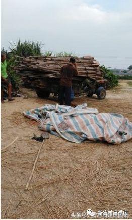 農村二層別墅自建房，簡單實用，只要10萬就能建成，很適合農村自建！