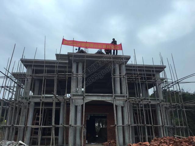 分享一棟雙拼別墅設計圖，村里的地標建筑。