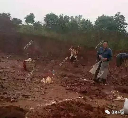 重慶農村自建房實拍照片，75萬蓋起的3層養老別墅，布局沒得挑！