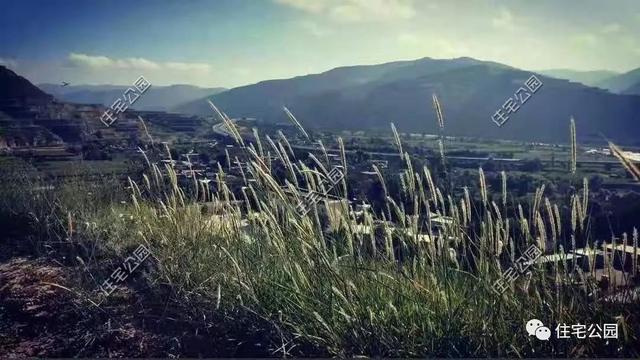 農村小伙自畫結構圖，不到20萬建成兩層小別墅，怎么做到的？