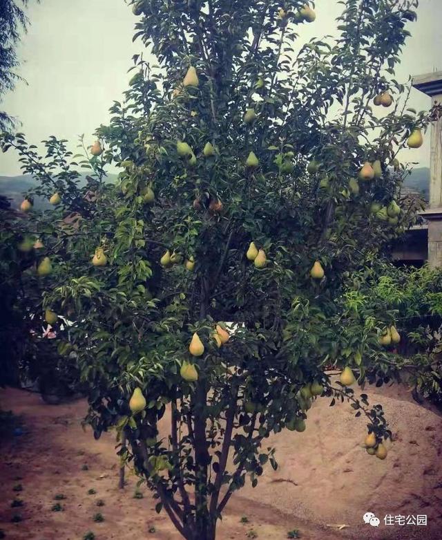 農村小伙自畫結構圖，不到20萬建成兩層小別墅，怎么做到的？