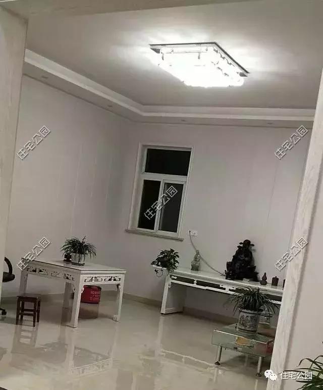 江蘇農(nóng)村花了50萬(wàn)建成的平房別墅，這樣光伏發(fā)電的屋面見(jiàn)過(guò)么