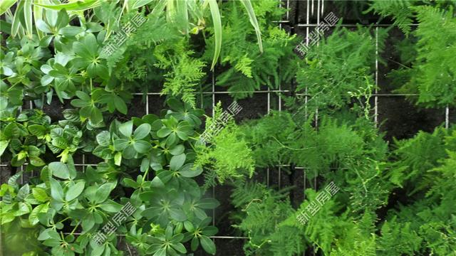 想修建輕鋼別墅？先搞清楚構建、樓板、外墻和取暖這4個問題！