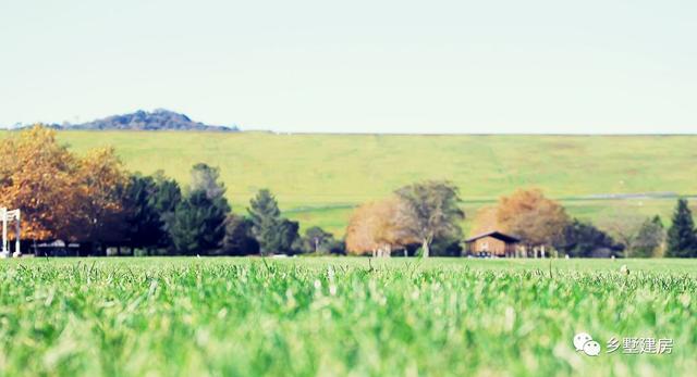 雙拼別墅設計圖，家里兄弟姐妹多，實用大氣還有檔次！