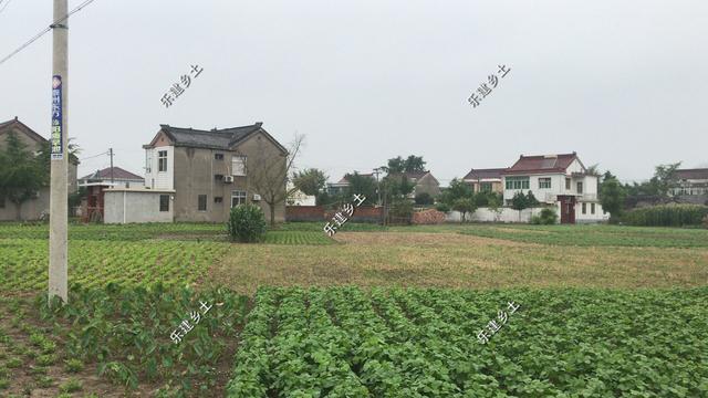 現代風格別墅設計圖，簡約時尚，干凈利落，顯現清新自然氛圍