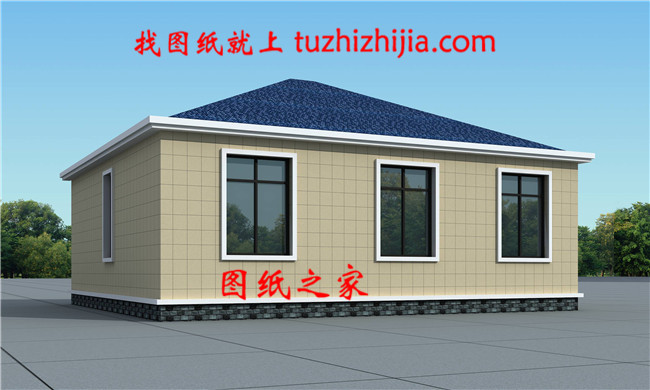 一層鄉村別墅設計戶型圖,占地100平左右