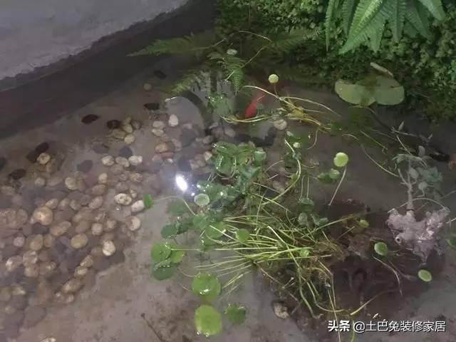 50萬農(nóng)村自建二層小樓，超值，還帶裝修