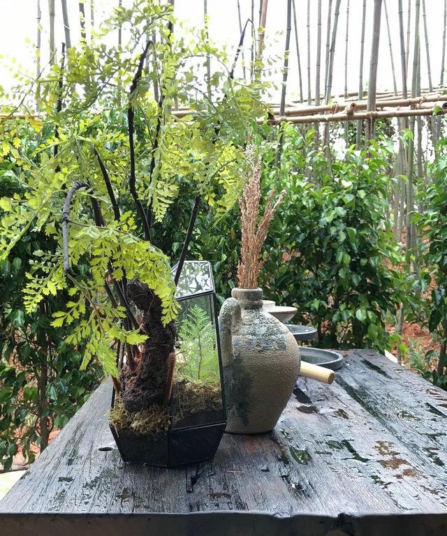 最美庭院別墅實拍，一進庭院就被驚艷到了，這才叫別墅