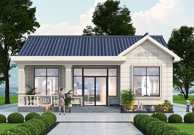 面寬12米進深11米一層農村養老自建房設計圖，簡單實用